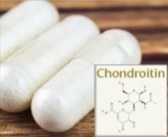 Chondroitin