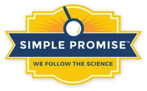 Simple Promise